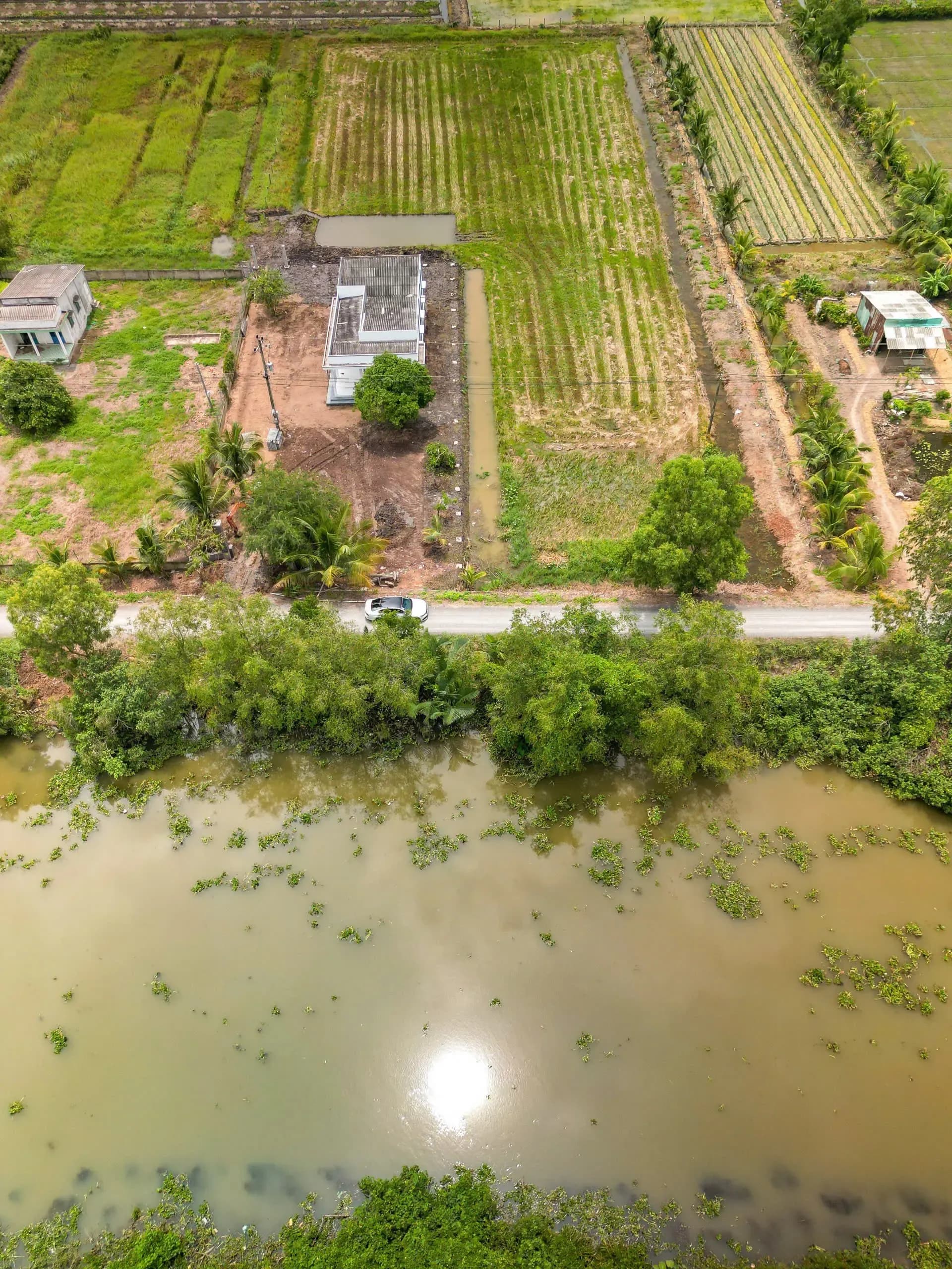 NHÀ VƯỜN LONG AN 550M² THỔ CƯ - VIEW SÔNG TUYỆT ĐẸP, SẴN SÀN NƯỚC! - Thumbnail 4